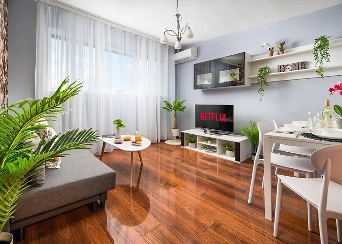 New, Vibrant & Sofia