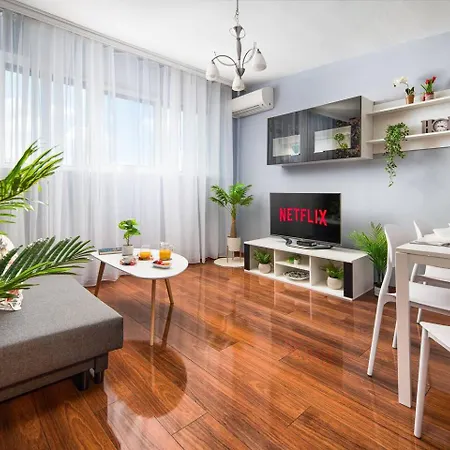 New, Vibrant & Sofia